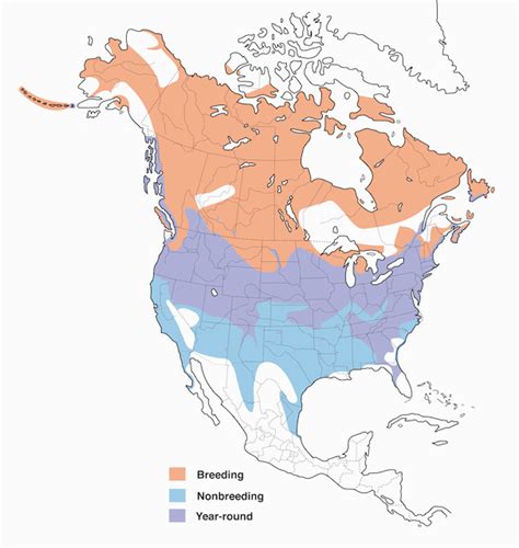 Canada Goose Migration Map | secretmuseum