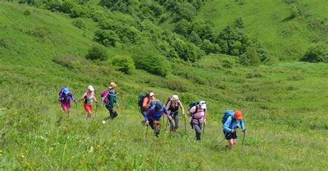 Hiking tour to Dilijan National Park from Yerevan | musement