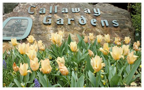 Seasonally Southern: Callaway Gardens- First Day of Spring