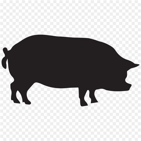 Free Show Pig Silhouette Images, Download Free Show Pig Silhouette Images png images, Free ...