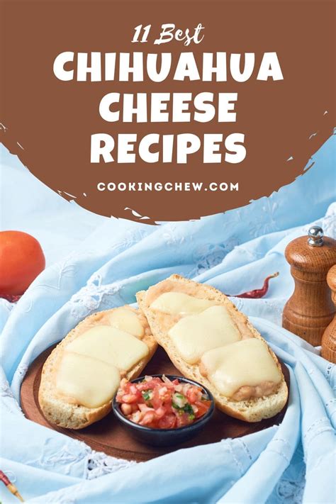 11 BEST Chihuahua Cheese Recipes (#4 Is Rich & Creamy)