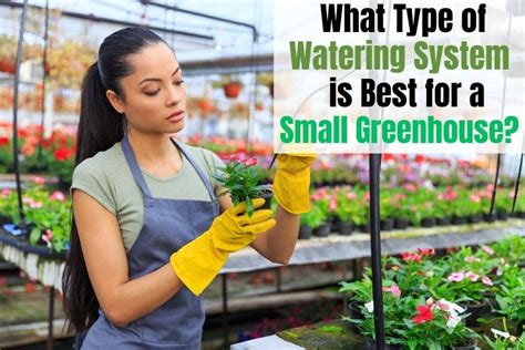 What Type of Watering System is Best for a Small Greenhouse?