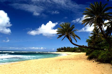 Hawaii Beach Wallpaper (58+ images)