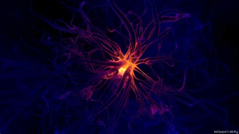 Neuron Wallpapers (52+ images)