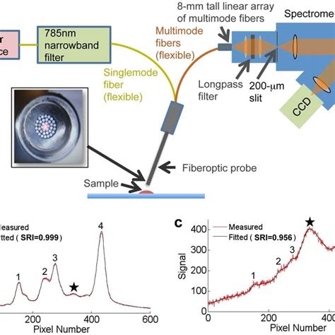 Measurement apparatus. (a) A spectrometer with CCD detector is used to... | Download Scientific ...