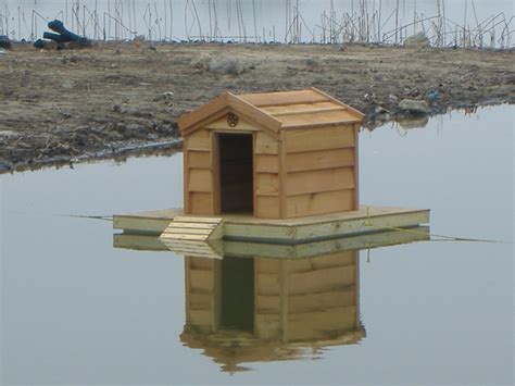 Inspirational Mallard Duck House Plans 23 Kb Jp | Thomedesign.com | Duck house plans, Floating ...