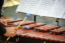 Xylophone Players Free Stock Photo - Public Domain Pictures