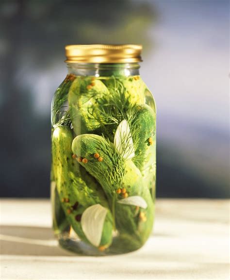 Homemade Pickled Gherkins recipe | Eat Smarter USA