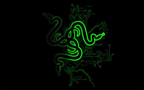 snake, Abstract, Razer, Logo Wallpapers HD / Desktop and Mobile Backgrounds