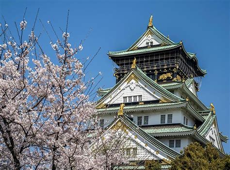 Wonders of Japan Cruise: Cherry Blossom Season Trip Log: March 29–April 11, 2023 | Abercrombie ...