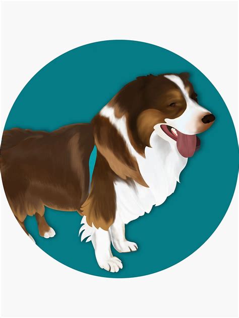 "Australian Shepherd dog, long haired dog, blue background" Sticker by June2022 | Redbubble