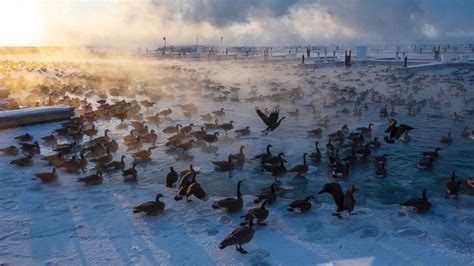 What is a 'frost quake'? Explaining the weather phenomenon - ABC News