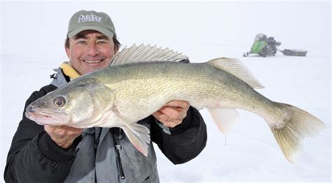 Ice-fishing facts: The only four walleye lures you'll ever need ...