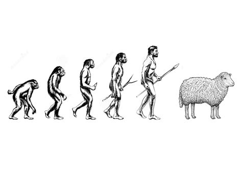 Human Sheep Evolution Blank Template - Imgflip