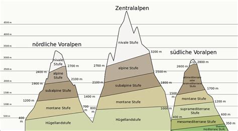 Alpine_Lebensraeume | Naturwissenschaftlicher Verein für Schwaben e.V.