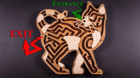 Feed the Cat Maze Puzzle - Yes it's real! - YouTube