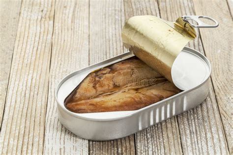 Herring in open can stock photo. Image of white, painted - 29696178