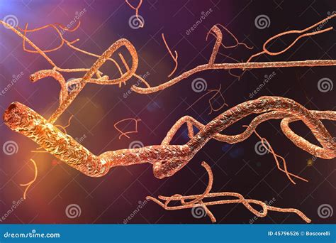 Microscopic Ebola Virus stock illustration. Illustration of fatal - 45796526