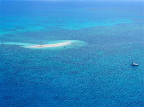 Huge new healthy coral reef discovered in Australia | World Economic Forum