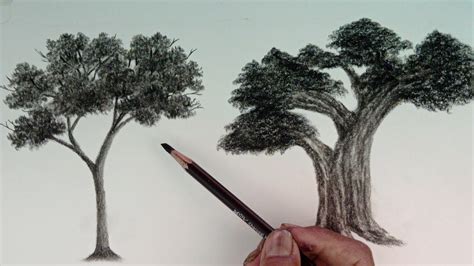 How to draw trees by charcoal pencil easy ways // sketching for ...