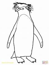 King Penguin Coloring Page At GetColoringscom  Free Printable sketch template