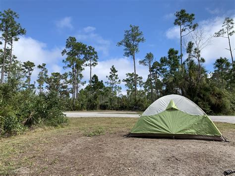 Everglades campsite : camping