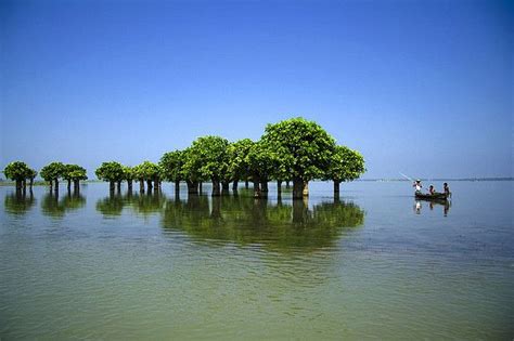 Haor of Sunamganj | Beautiful nature, Bangladesh travel, Tourist places