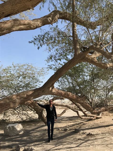 The Tree Of Life: Bahrain's Greatest 400-year-old Mystery