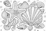 Seashell Coloring Pages sketch template