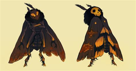 moth by CoconutMilkyway on DeviantArt