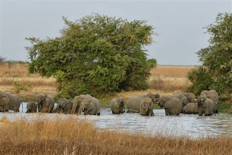 Waza National Park