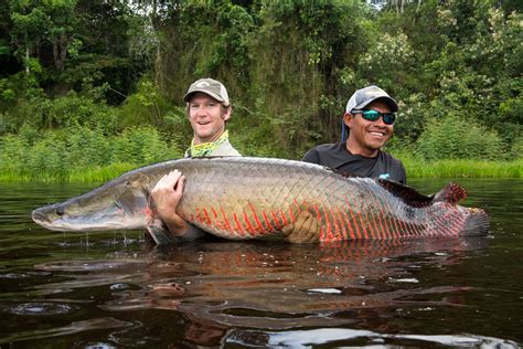 Rewa-Eco Lodge - Guyana Arapaima Fishing | Yellow Dog Flyfishing