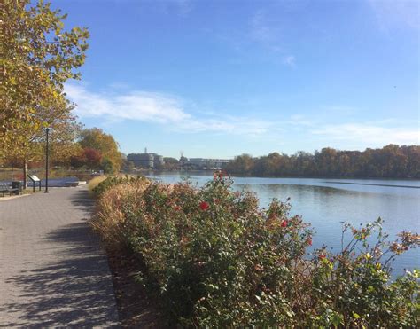 Essential Info for the Georgetown Waterfront Park