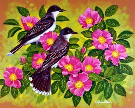 🔥 [47+] Wallpapers with Flowers and Birds | WallpaperSafari