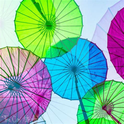 Parasol Colours 1 | The Cow Artworks