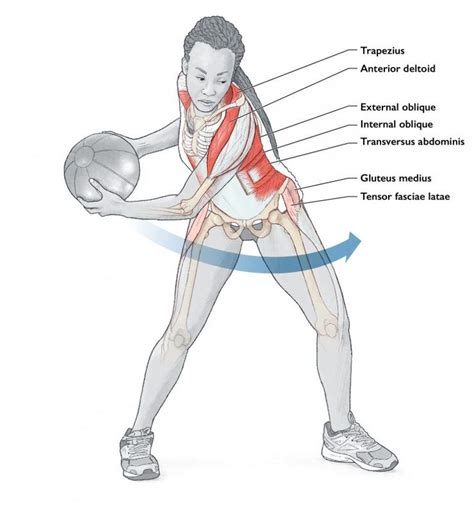 6 medicine ball throws - FitPro Blog | Medicine ball, Medicine, Upper body strength