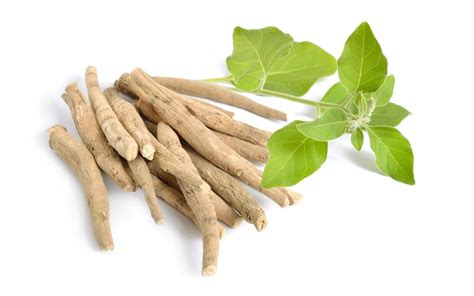 Ashwagandha For Sleep - Fitore Nutrition