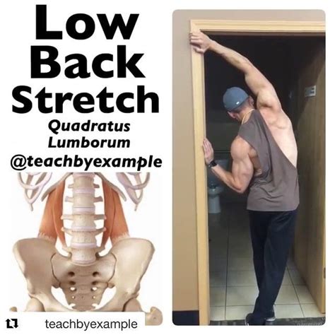 4 Ways to Stretch and Release Your QUADRATUS LUMBORUM (QL) Muscle | At home workouts, Back ...