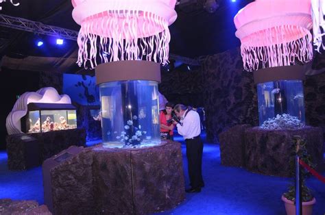 Qatar Culture Club: Marine Festival in Qatar - subculture much?