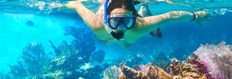 Cozumel Snorkeling Guide for January 2025 | Island Life Mexico