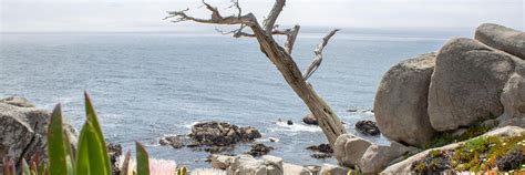 Hotel Deals in Monterey, CA| Victorian Inn Monterey