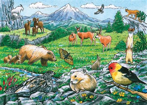 Rocky Mountain Wildlife Puzzle - Grandrabbit's Toys in Boulder, Colorado