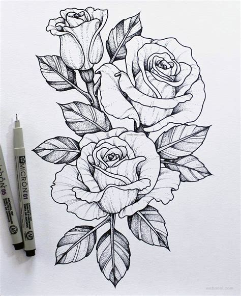 Pencil Sketch Of Rose Flower at PaintingValley.com | Explore collection of Pencil Sketch Of Rose ...