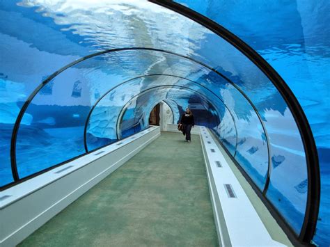 CIVIL ENGINEERING PROJECTS: Underwater Tunnel Construction