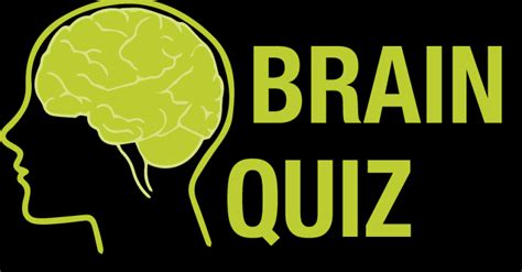 Brain Quiz