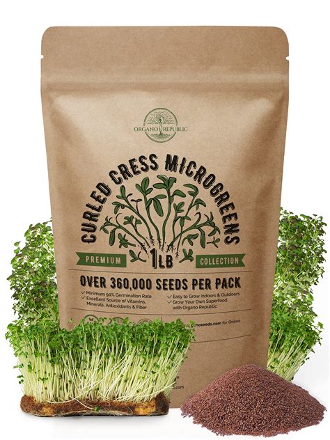 Buy Cress Sprouting & Microgreens - Non-GMO, Heirloom Sprout Kit in Bulk 1lb Resealable Bag for ...