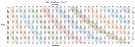 Body Surface Area Chart with Photos