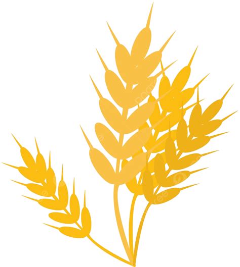 Wheatillustrationvector On White Background Grain Bread Food Vector ...