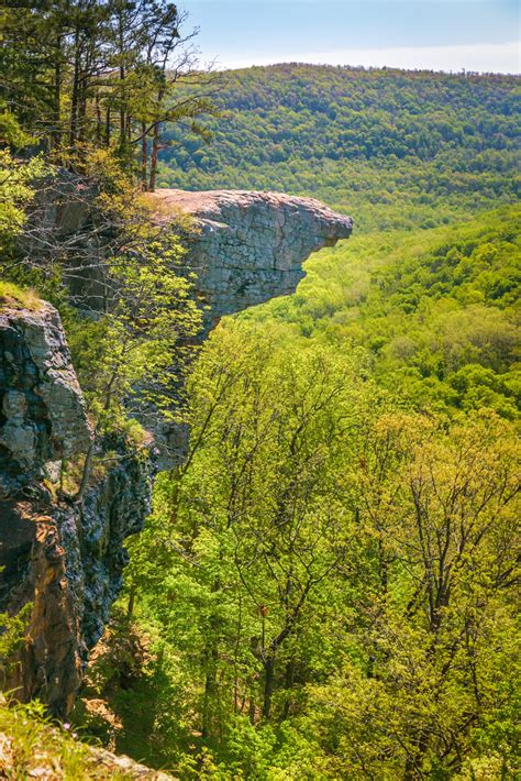 Hawksbill Crag on a Sunny Day | Upper Buffalo Wilderness | Arkansas Scenics