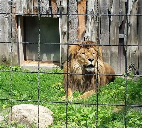 Bowmanville Zoo - Travel in Ontario